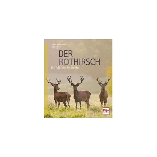 Der Rothirsch