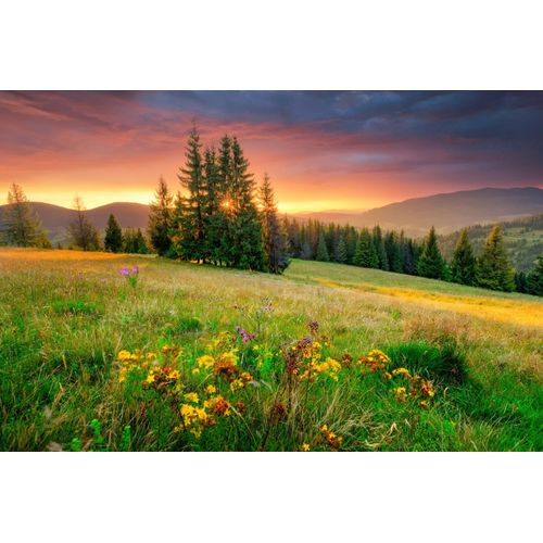Fototapete PAPERMOON "BLUMEN-WIESE-GEBIRGE NATUR NEBEL GRÜN SONNE BERG HIMMEL", bunt, B:3m L:2,23m, Vlies, Tapeten, Fototapete