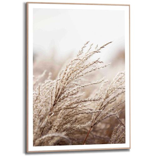 Kunstdruck REINDERS "Gras", beige (farbe bild(er): beige), B:50cm H:70cm T:1,6cm, MDF, Bilder, Kunstdruck