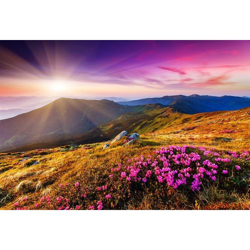 Fototapete PAPERMOON "Karpaten", bunt, B:4,5m L:2,8m, Vlies, Tapeten, Fototapete