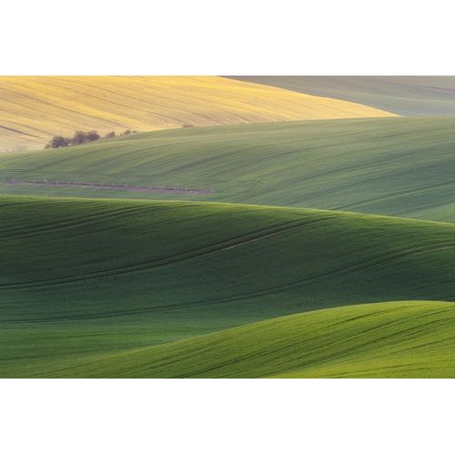 Fototapete PAPERMOON "Hügel", bunt, B:3m L:2,23m, Vlies, Tapeten, Fototapete