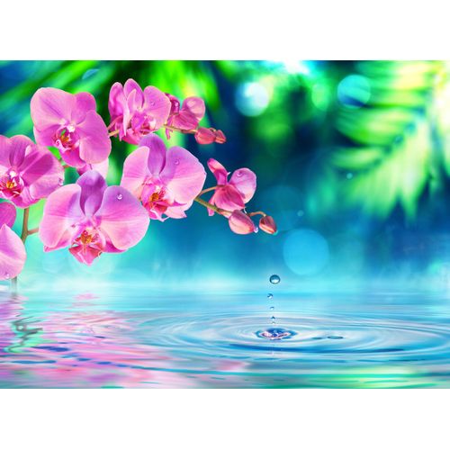Fototapete PAPERMOON "Zen Orchid and Droplets", bunt, B:2m L:1,49m, Vlies, Tapeten, Fototapete