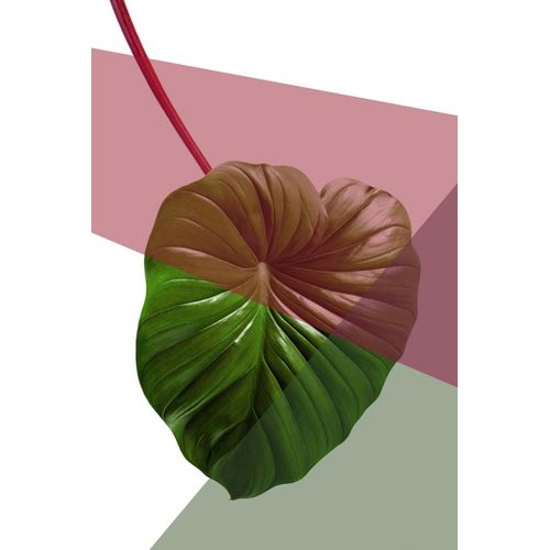 Acrylglasbild QUEENCE "Blätter", grün (farbe bild(er): grün), B:80cm H:120cm T:2,4cm, Bilder, Acrylglasbild, Fine Art-Print in Galeriequalität