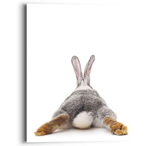 Wandbild REINDERS "Wandbild Kaninchen Rabbit - Hase - Schwanz - Relax", weiß (farbe bild(er): weiß), B:40cm H:50cm, MDF, Bilder, Wandbild