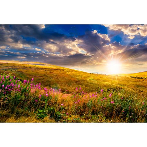 Fototapete PAPERMOON "Wild Flowers Mountain Sunset", bunt, B:4m L:2,6m, Vlies, Tapeten, Fototapete