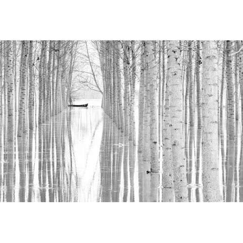 Fototapete PAPERMOON "Photo-Art AGLIONI SIMONE, BEWEGUNGSFREIHEIT", bunt, B:3m L:2,23m, Vlies, Tapeten, Fototapete