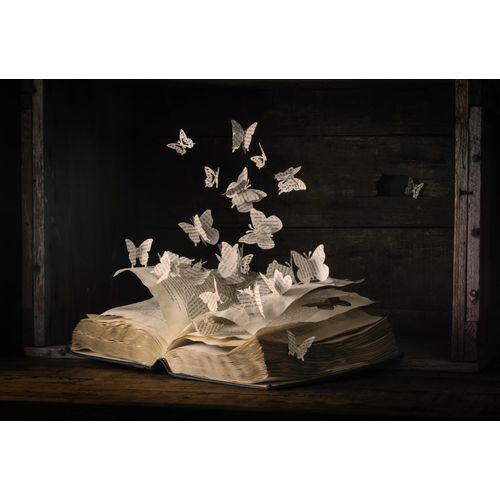 Fototapete PAPERMOON "Photo-Art HEATHER BONADIO, LEPIDOPTEROLOGIE", bunt, B:4m L:2,6m, Vlies, Tapeten, Fototapete