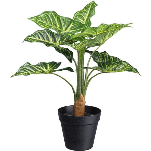 Künstliche Zimmerpflanze CREATIV GREEN "Syngonium", grün, H:45cm, Kunstpflanzen, Künstliche Zimmerpflanze, mit 10 Blättern