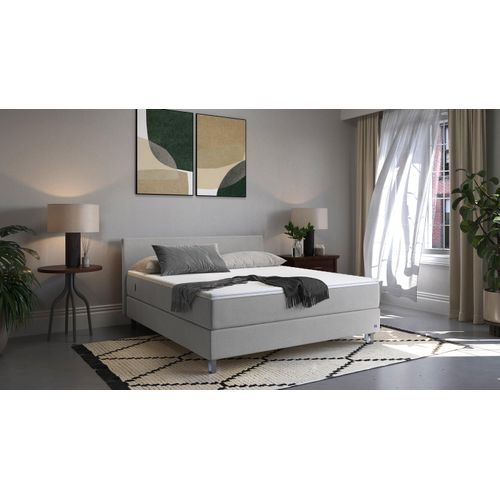 BRUNO Boxspringbett Premium 160x200cm in Hellgrau | Matratzen-Härtegrad: Links H2 / Rechts H2 | mehrfach ausgezeichnet in Design & Qualität