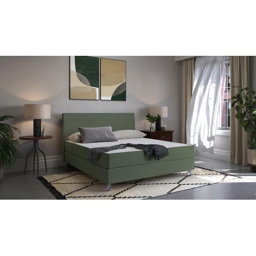 BRUNO Boxspringbett Premium 140x200cm in Grün | Matratzen-Härtegrad: Links H3 / Rechts H3 | mehrfach ausgezeichnet in Design & Qualität