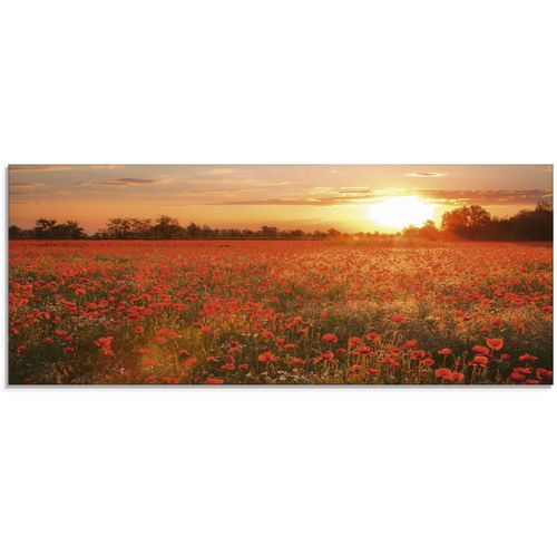 Glasbild ARTLAND "Mohnblumenfeld bei Sonnenuntergang", rot (farbe bild(er): rot), B:125cm H:50cm, Bilder, in verschiedenen Größen