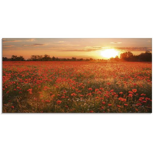 Glasbild ARTLAND "Mohnblumenfeld bei Sonnenuntergang", rot (farbe bild(er): rot), B:100cm H:50cm, Bilder, in verschiedenen Größen