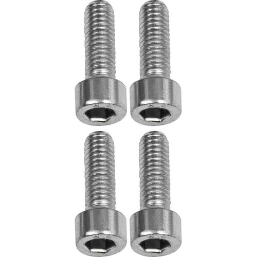 Riegler Schwenkaugenbefestigung, ISO 15552, Ø 160