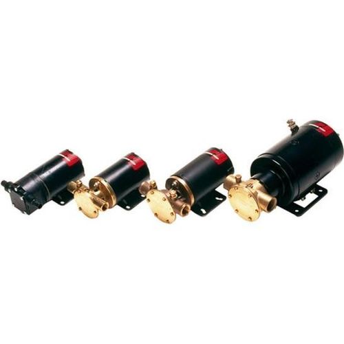Johnson F4B-19 Impellerpumpe 24V