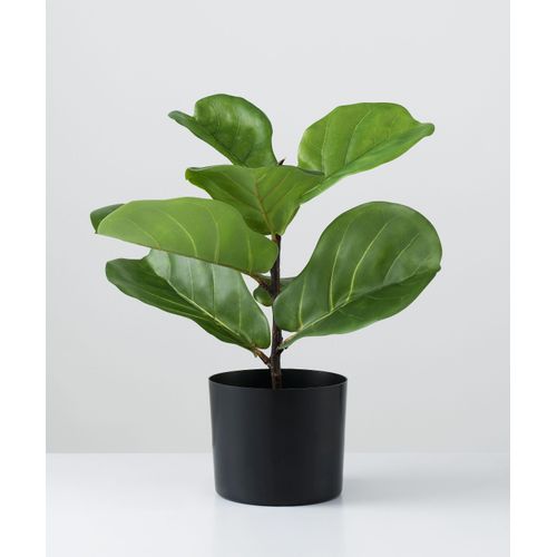 Kunstpflanze FICUS LYRATA