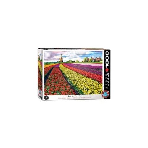 Tulpenfelder Niederlande