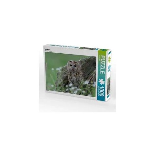 Waldkauz (Puzzle)