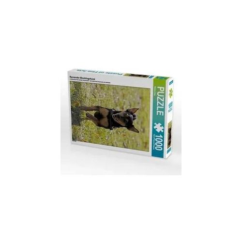 Rennender Mischlingshund (Puzzle)