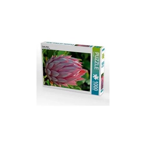 Protea, Maui (Puzzle)