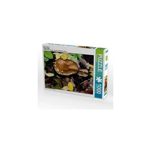 Ein Motiv aus dem Kalender Pilze, Pilze (Puzzle)