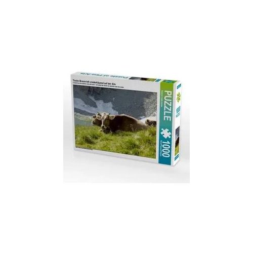 Tiroler Braunvieh wiederkäuend auf der Alm (Puzzle)