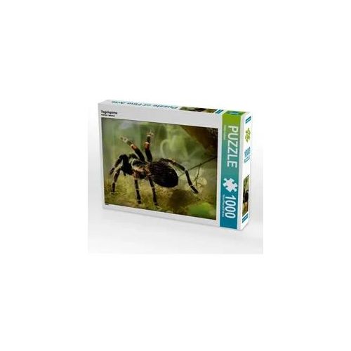 Vogelspinne (Puzzle)