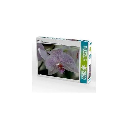 Blütenmakro (Puzzle)