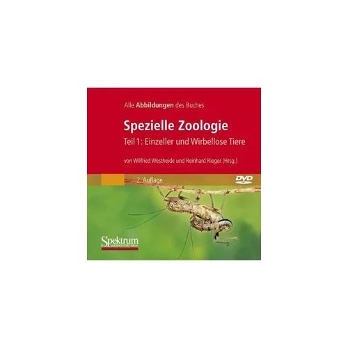 Spezielle Zoologie. Teil 1 /2. Paket. Teil 1: Einzeller und Wirbellose... / Bild-DVD, Spezielle Zoologie, Teil 1: Einzeller und Wirbellose Tiere