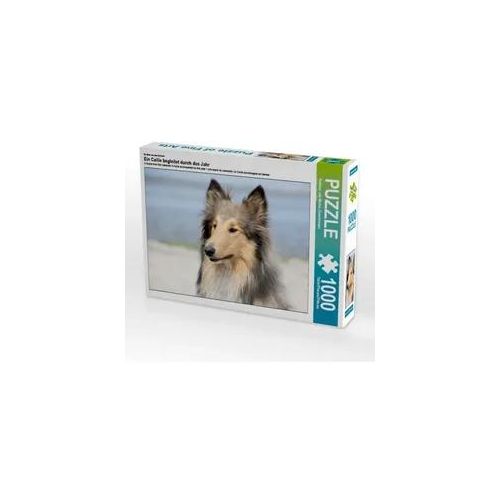 Ein Motiv aus dem Kalender Ein Collie begleitet durch das Jahr (Puzzle)