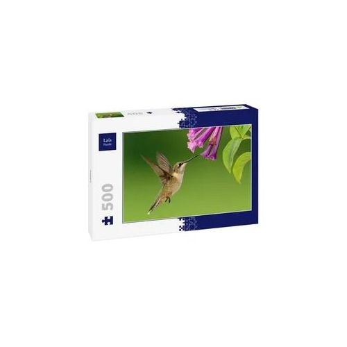 Lais Puzzle Kolibri 500 Teile