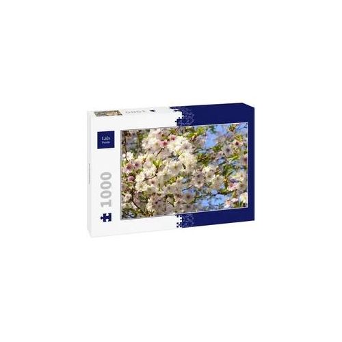 Lais Puzzle Kirschblüte 1000 Teile