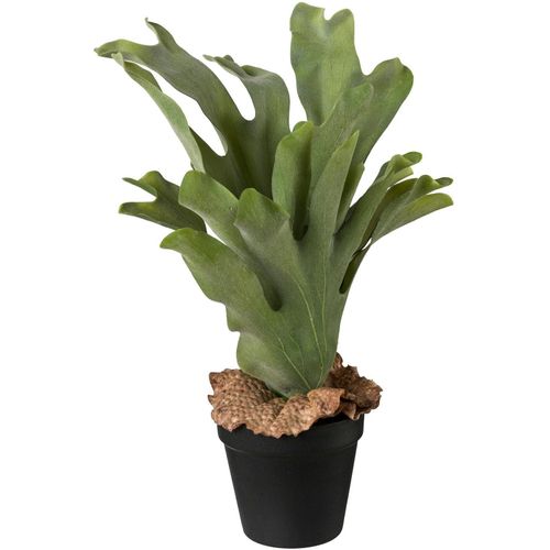 Künstliche Zimmerpflanze CREATIV GREEN, grün, H:37cm, Kunststoff, Kunstpflanzen, Künstliche Zimmerpflanze