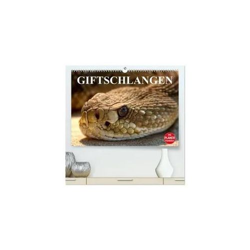 Giftschlangen (hochwertiger Premium Wandkalender 2026 DIN A2 quer), Kunstdruck in Hochglanz