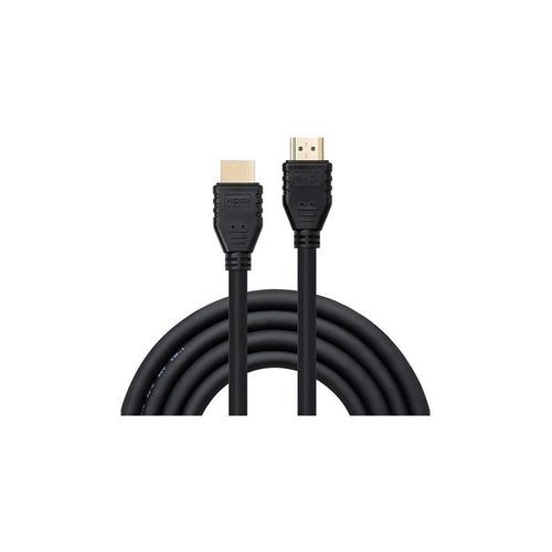 Lindy DVI Female & Audio Fly Lead for In-Wall Cable Run - video / audio cable - DVI / audio - 25 cm