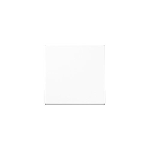 Jung Steuertaste Standard A 1700 BF WW (A1700BFWW)