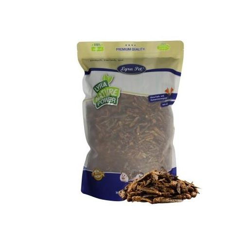 Lyra Pet Heuschrecken getrocknet 1 kg