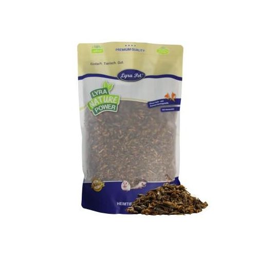 Lyra Pet Heimchen getrocknet 1 kg