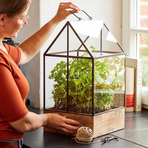 Anzuchthaus / Gewächshaus