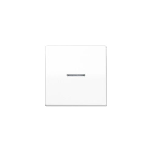 Jung Wippe Lichtleiter aws für Taster AS 591 KO5 WW (AS591KO5WW)