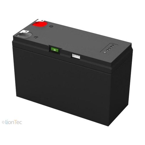 LionTec Lithium Ionen Batterie 12V Akku (12,8V) - 7,5 Ah + Ladegerät Weidezaun
