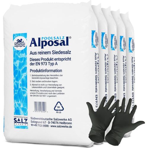 5x Alposal Poolsalz | Sack (25 kg) - B084635C1D