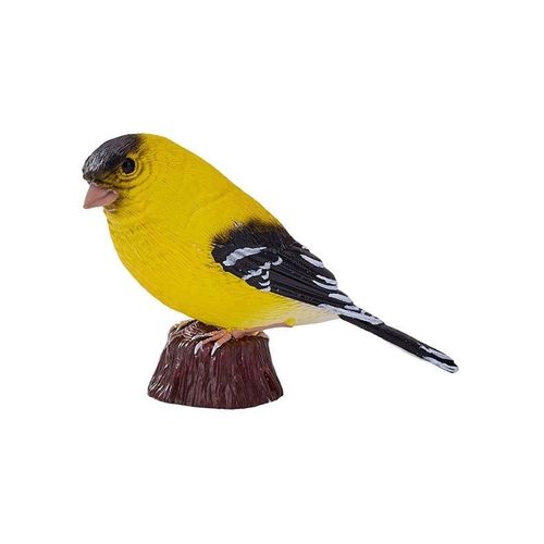 Mojo Farmland American Goldfinch