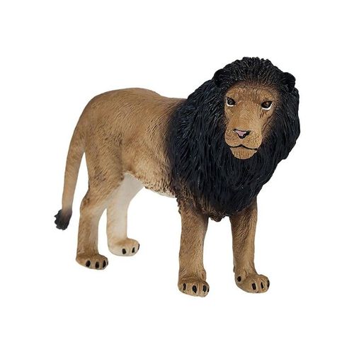 Mojo Wildlife African Lion