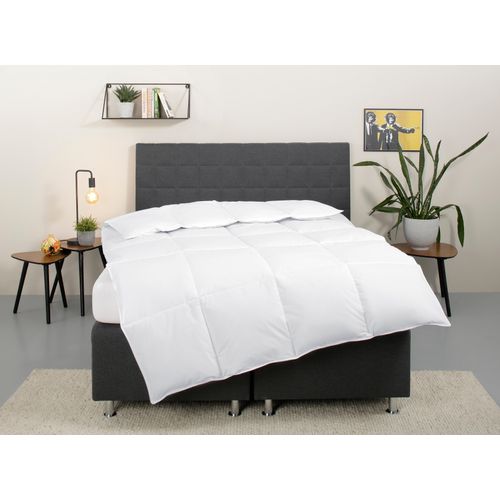 Daunenbettdecke OTTO HOME "Cyra, Bettdecke 135x200 cm, 155x220 cm", weiß, B:135cm L:200cm, Bezug: 100% Baumwolle. Füllung: 70% Entendaune, 30% Entenfeder, Bettdecken, wo besonders auf artgerechte Haltung der Tiere geachtet wird