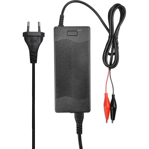 LiFePO4 Akku 36V 12Ah 432Wh Lithium-Eisen-Phosphat Batterie für Camping Boot