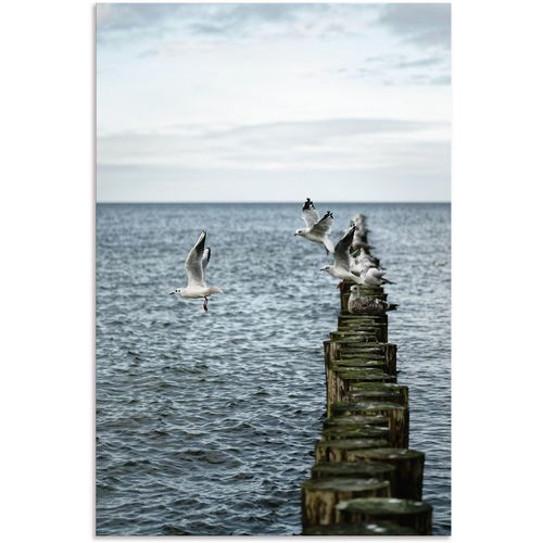 Artland "Möwen starten von einer Buhnenreihe" Vogelbilder 1 Stk. tlg. für Innen- und Außenbereich geeignet, Outdoorbild
