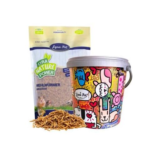Lyra Pet Mehlwürmer im Design Eimer 10 l