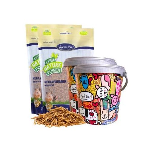 Lyra Pet Mehlwürmer im Design Eimer 20 l