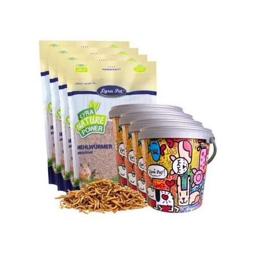 Lyra Pet Mehlwürmer im Design Eimer 40 l