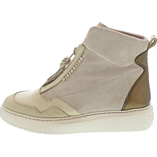 Hispanitas Oceania 4 HI243654 (41/milk)